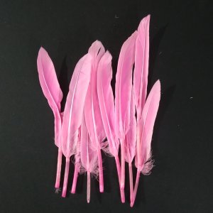 MEDIUM LIGHT PINK FEATHER