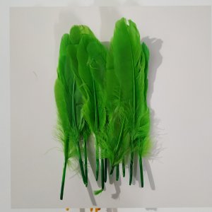 BIG GREEN FEATHER