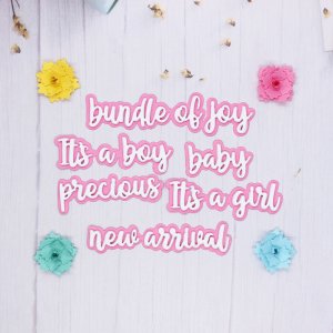 BABY SHADOW WORDS-BOY/GIRL SENTIMENT SET