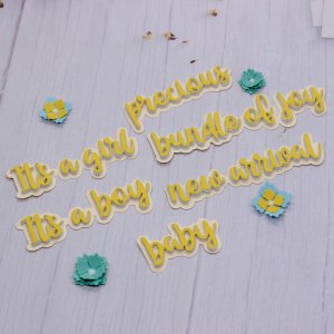 BABY SHADOW WORDS-BOY/GIRL SENTIMENT SET