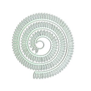 QUILLING ROLLED FLOWER